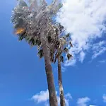 Ocean View Lejlighed