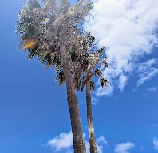 Ocean View Apartamento